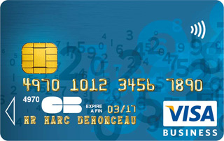 visa-business-bleue12-14512
