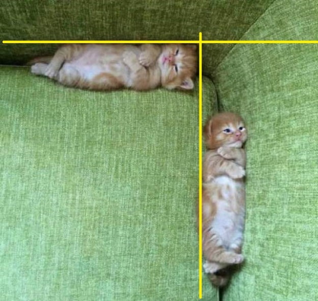 Cat-Geometry